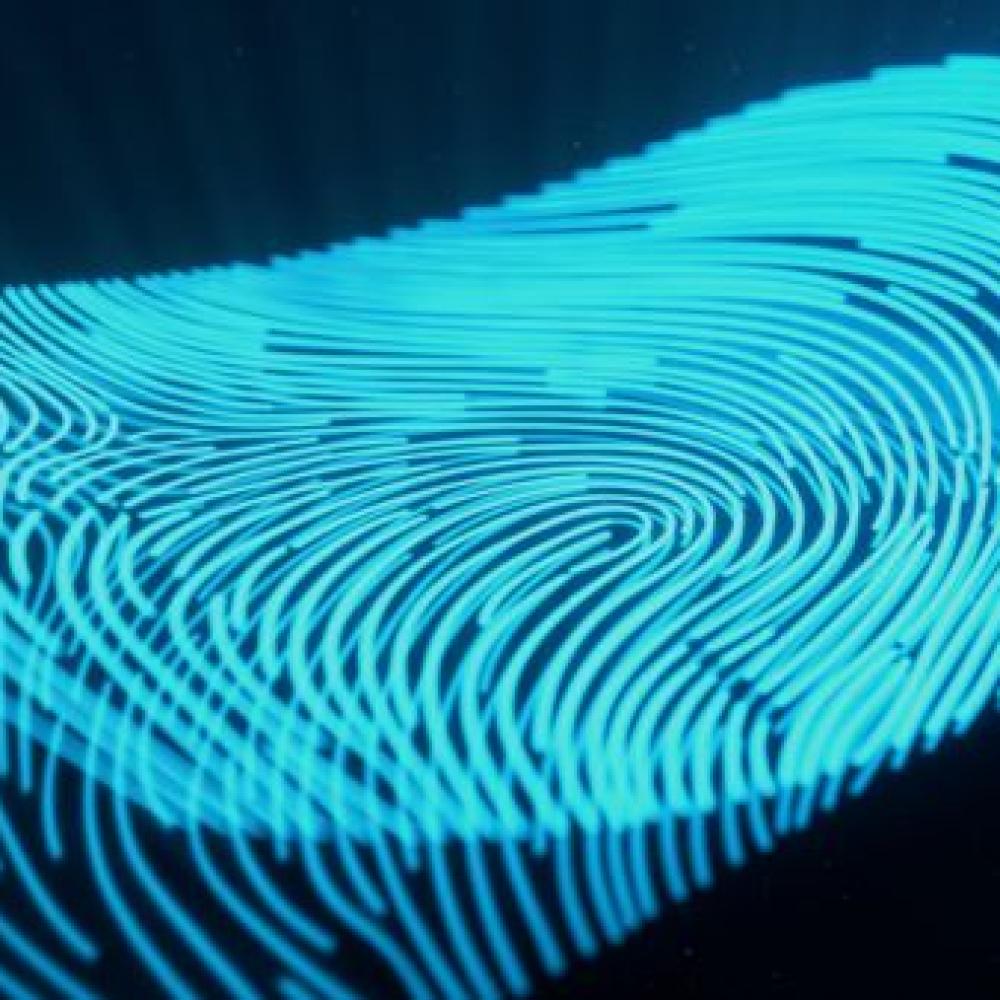 Anti-Fingerprint coatings for LCD glass